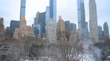 New York, ABD, 15 Ocak 2026, Central Park terasından kış manzaralı. İnsanlarla dolu Karlı Central Park terası ve Manhattan silüeti.