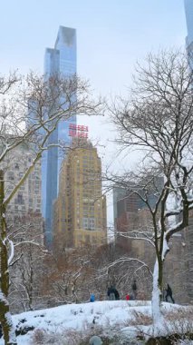 New York, ABD, 24 Aralık 2025: Karlı Central Park ufuk çizgisi. Manhattan silueti ve Essex Evi olan Central Park ağaçlarının kış manzarası.