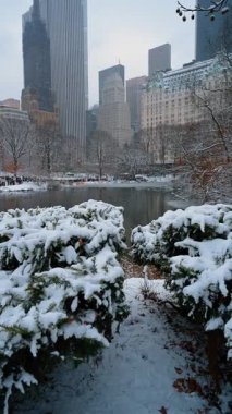 New York, ABD, 28 Aralık 2025: Karlı Central Park gölü ve şehir silüeti. Central Park 'ın kış manzarası. Arkasında karla kaplı ağaçlar ve Manhattan binaları var..