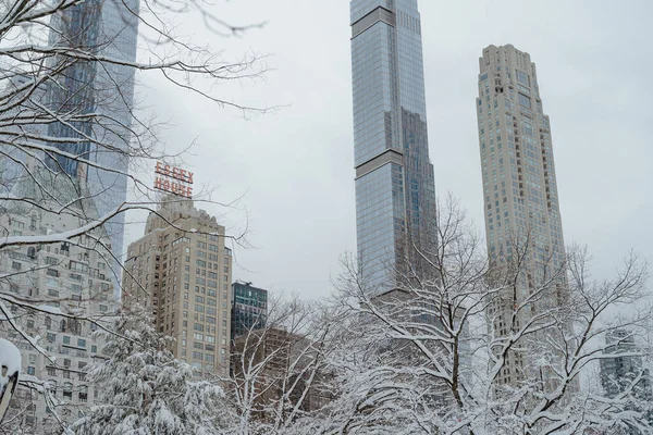 New York, ABD, 20 Şubat 2026: Manhattan gökdelenleri karla kaplı ağaç dallarının arasından görülüyor. Şiddetli kış fırtınası sırasında Essex Evi ve Milyarderler Kürek Kulelerinin dikey bileşimi.