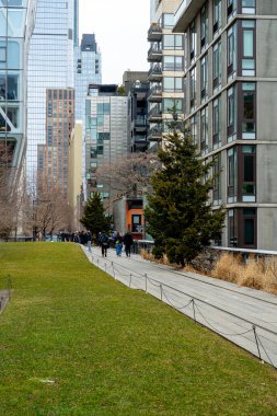 New York, ABD, 2 Mart 2026 High Line Manhattan 'da halka açık park çimenliği ve yürüyüş yolu. New York 'ta modern cam mimari ile çevrili yaya yolu ile yükseltilmiş yeşil alan..