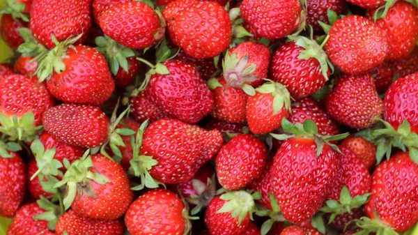 成熟的草莓红草莓背景质感 — 图库照片
