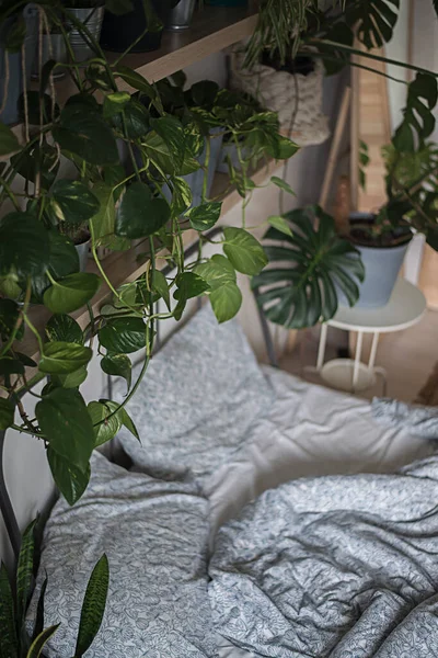 Interior de la jungla urbana con fruncidos tropicales en el dormitorio — Foto de Stock