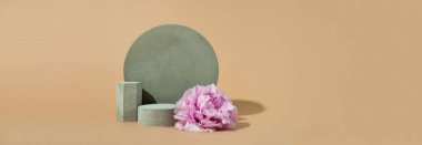 Beton şekilli minimalist bayrak ve pastel arka planda açan çiçek
