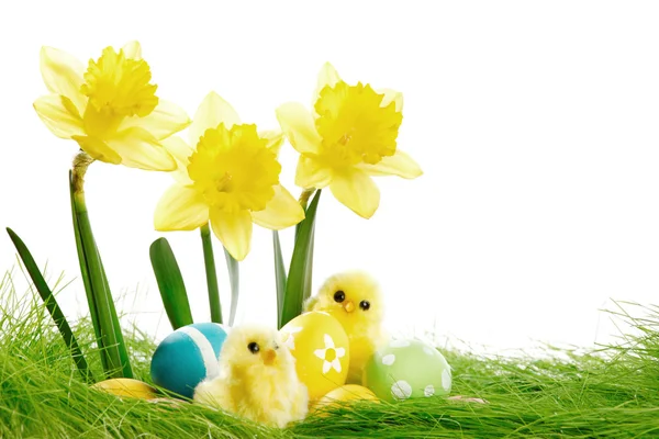 Yellow Flowers and easter eggs — Stock Photo, Image