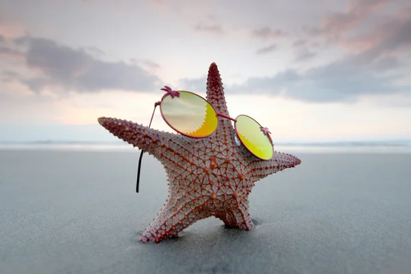 太阳镜沙滩上的海星 — 图库照片