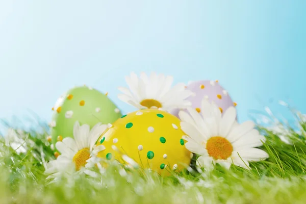 Huevos de Pascua en la hierba — Foto de Stock