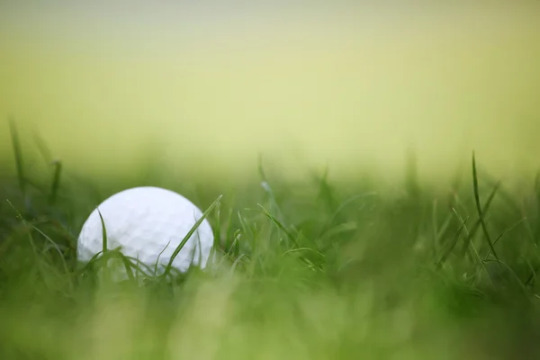 Bola de golfe na grama verde — Fotografia de Stock