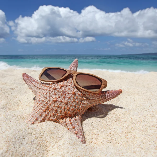 Starfish com óculos de sol na praia — Fotografia de Stock