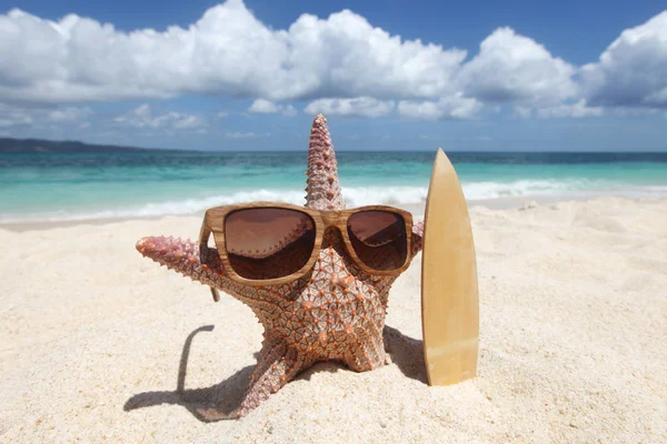 Starfish surfer op strand — Stockfoto