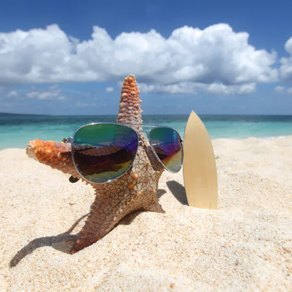 Surfista de Starfish na praia — Fotografia de Stock