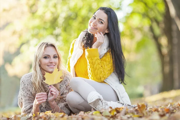 Kvinnor sitter i höst park — Stockfoto