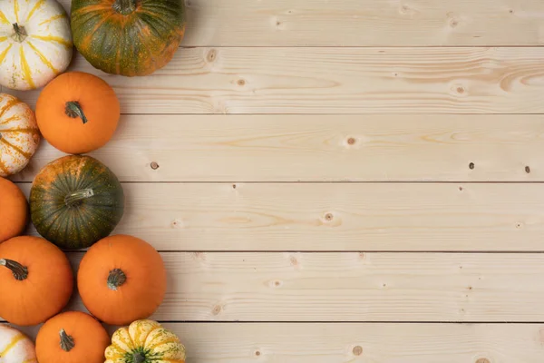 Veel Oranje Pompoenen Lichte Houten Achtergrond Halloween Concept Bovenaanzicht Met — Stockfoto