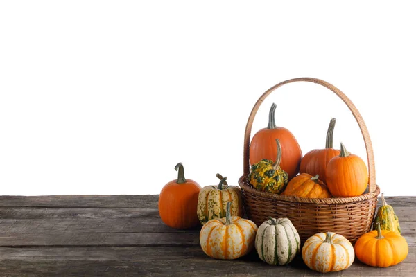 Little Pumpkins Basket Still Life Table Isolated White Background Stock Image