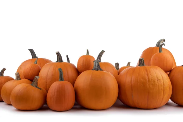 Hromada Mnoha Oranžových Dýní Stejného Druhu Izolované Bílém Pozadí Halloween — Stock fotografie