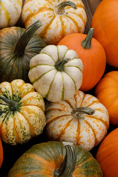 Sortimento Abóboras Colhidas Outono Fundo Montão Conceito Feriado Halloween — Fotografia de Stock