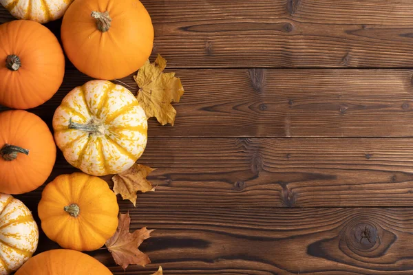 Nombreuses Citrouilles Colorées Feuilles Érable Cadre Sur Fond Bois Avec — Photo