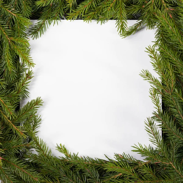 Marco Borde Cuadrado Árbol Navidad Abeto Natural Aislado Blanco Espacio —  Fotos de Stock