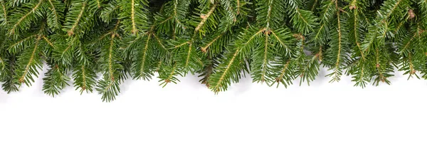 Natural Fir Christmas Tree Border Frame Isolated White Copy Space — Stock Photo, Image