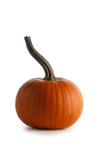 One Small Orange Pumpkin Closeup Isolated White Background — Stock Photo, Image