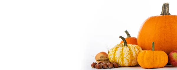 Höst Frukt Och Grönsaker Isolerad Vit Bakgrund — Stockfoto