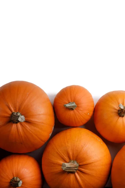 Heap Många Orange Pumpor Vit Bakgrund Halloween Koncept Kopiera Utrymme — Stockfoto