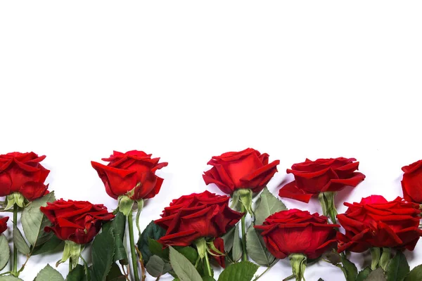 Vermelho Rosas Borda Quadro Isolado Fundo Branco Dia Dos Namorados — Fotografia de Stock