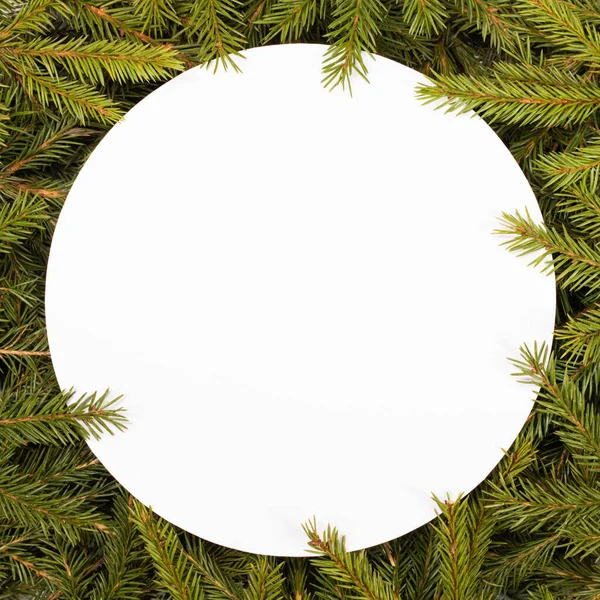 Přírodní Jedle Vánoční Strom Kulatý Okraj Izolované Bílém Kopírovat Prostor — Stock fotografie