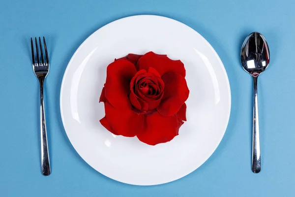 Evőeszköz Készlet Lemez Rózsa Virág Kék Háttér Valentin Nap Romantikus — Stock Fotó