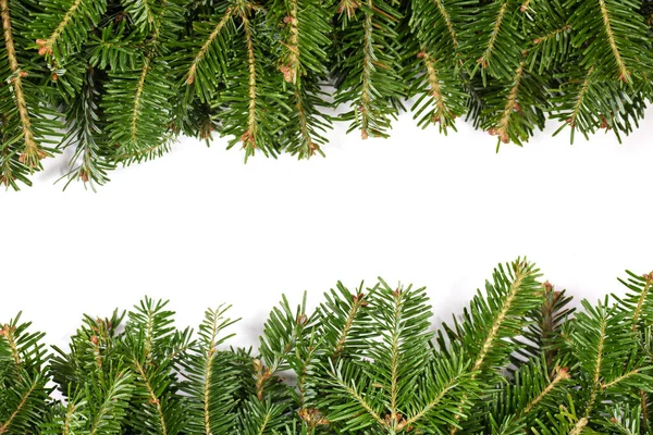 Natural Fir Christmas Tree Border Frame Isolated White Copy Space — Stock Photo, Image