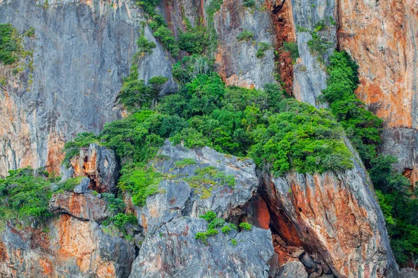 Sfondo Naturale Montagne Calcaree Alberi Thailandia — Foto Stock