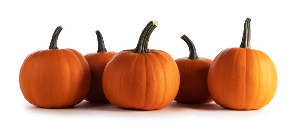 Hele Oranje Pompoenen Een Rij Geïsoleerd Witte Achtergrond — Stockfoto