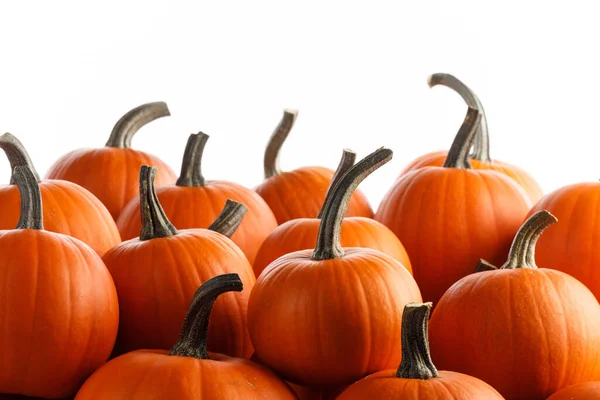 Heap Van Vele Oranje Pompoenen Geïsoleerd Witte Achtergrond Halloween Ontwerp — Stockfoto