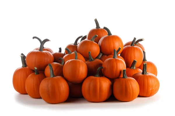 Heap Van Vele Oogst Oranje Pompoenen Geïsoleerd Witte Achtergrond Halloween — Stockfoto