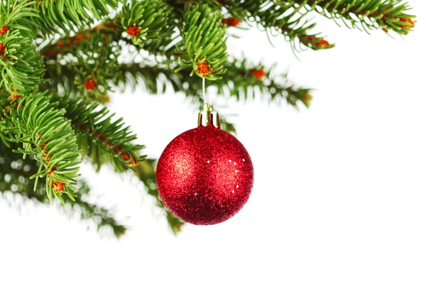 Rama de árbol de Navidad con bola — Foto de Stock