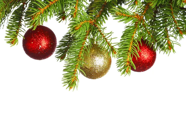 Decorative balls on fir — Stock Photo, Image