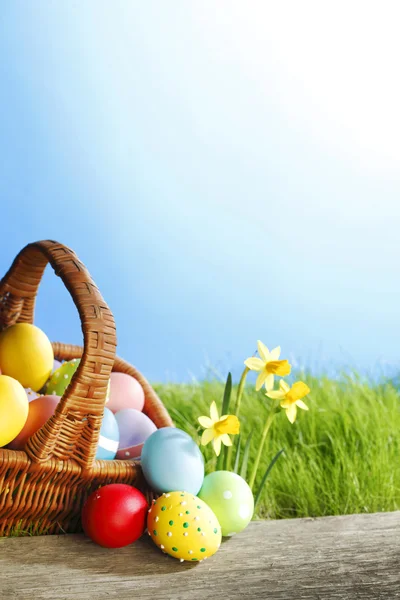 Easter basket on meadow — Stock Photo, Image