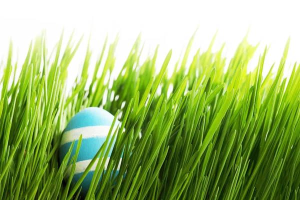 Пасхальное яйцо в траве — стоковое фото