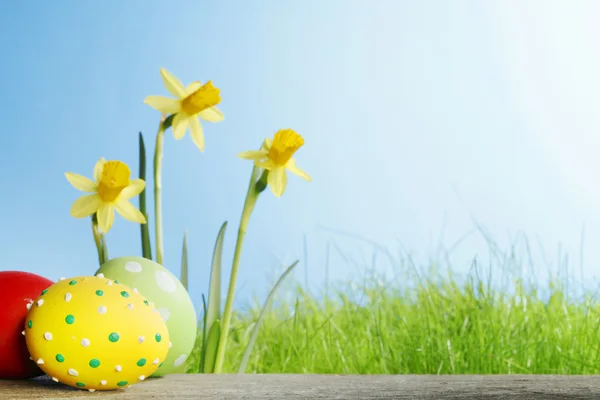 Flores amarelas e ovos de Páscoa — Fotografia de Stock