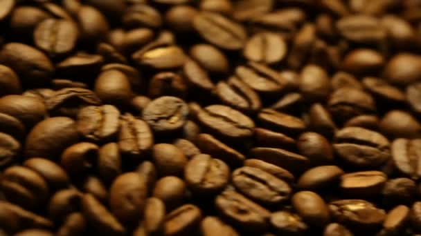 Кава в зернах — стокове відео