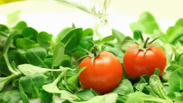 Рукола, помидоры и оливковое масло — стоковое видео