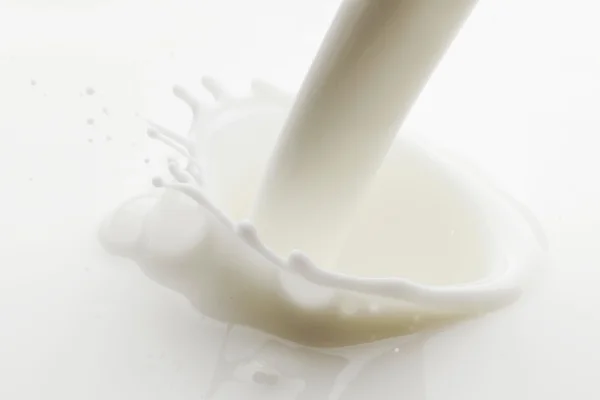 Pouring milk splash — Stock Photo, Image