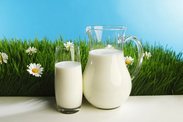 Copo de leite e jarra em prado de flor — Fotografia de Stock