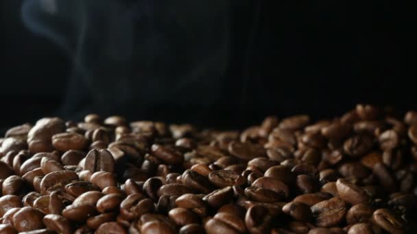 Granos de café — Vídeo de stock