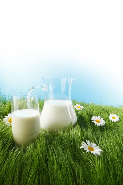 Glass of milk and jar on flower meadow — Stock Photo, Image