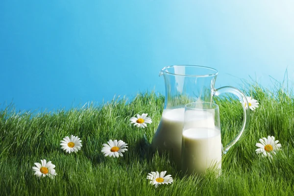 Milk jug and glass on flower field — Stock Photo, Image