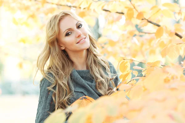 Mujer en el parque de otoño — Foto de Stock