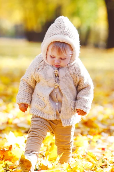 Kinderporträt im Herbst — Stockfoto