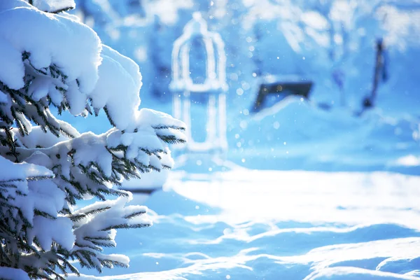Winterbos met sneeuw — Stockfoto