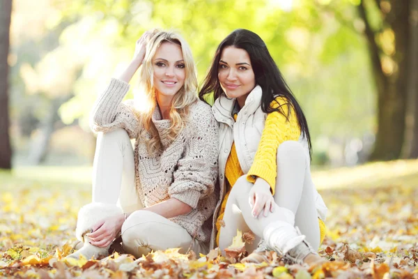 Vrienden in herfst park — Stockfoto